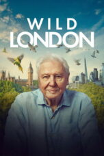 Wild London (2026) Sub Indo